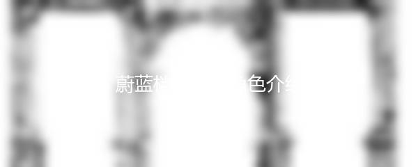 蔚蓝档案新出角色介绍