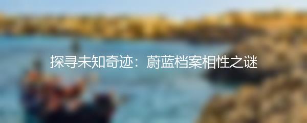 探寻未知奇迹：蔚蓝档案相性之谜