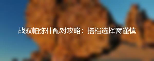 战双帕弥什配对攻略：搭档选择需谨慎