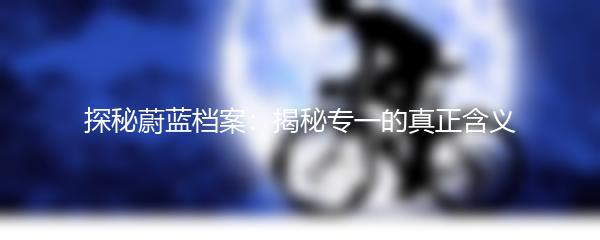 探秘蔚蓝档案：揭秘专一的真正含义
