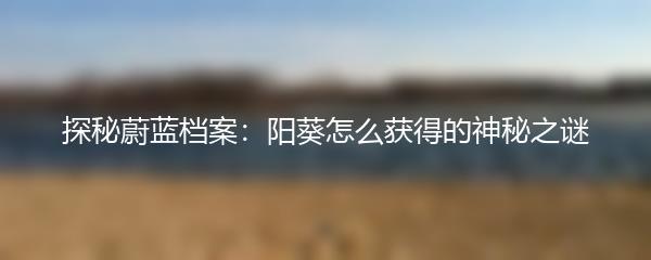 探秘蔚蓝档案：阳葵怎么获得的神秘之谜