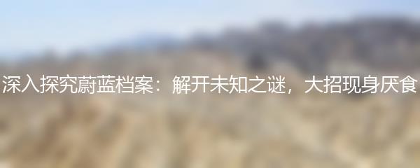 深入探究蔚蓝档案：解开未知之谜，大招现身厌食