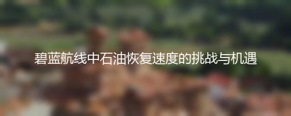 碧蓝航线中石油恢复速度的挑战与机遇