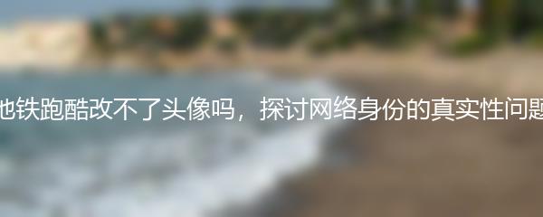 地铁跑酷改不了头像吗，探讨网络身份的真实性问题