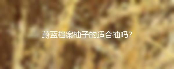 蔚蓝档案柚子的适合抽吗？