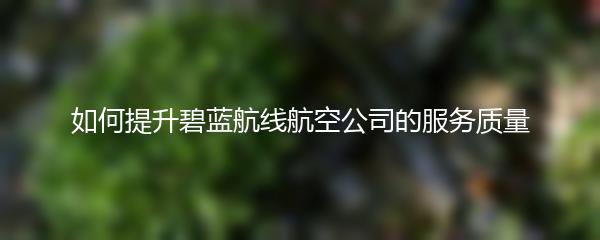 如何提升碧蓝航线航空公司的服务质量