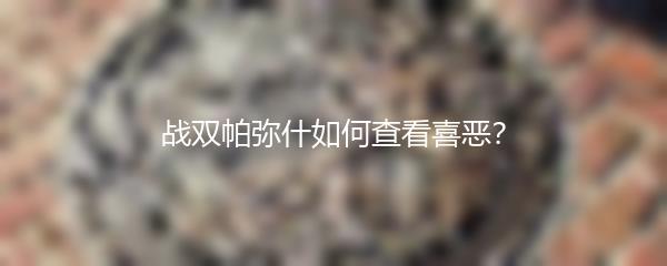 战双帕弥什如何查看喜恶？