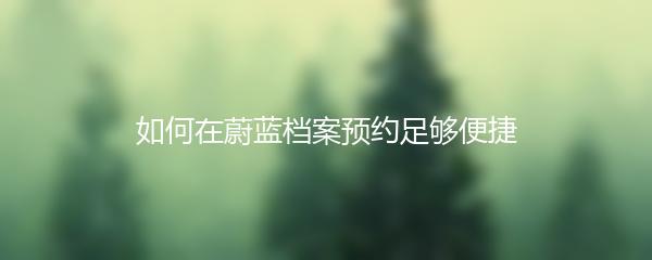 如何在蔚蓝档案预约足够便捷