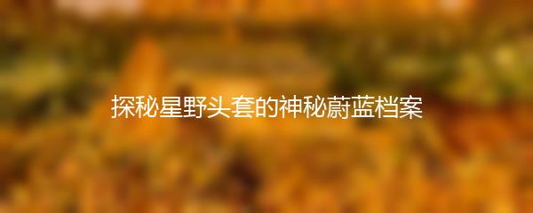 探秘星野头套的神秘蔚蓝档案