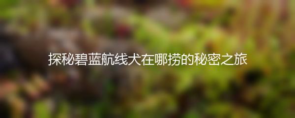 探秘碧蓝航线犬在哪捞的秘密之旅