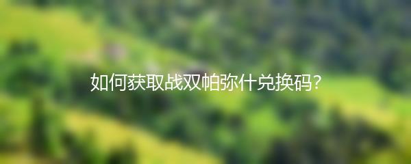 如何获取战双帕弥什兑换码？