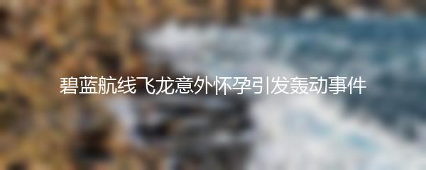 碧蓝航线飞龙意外怀孕引发轰动事件