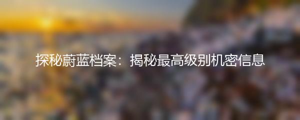 探秘蔚蓝档案：揭秘最高级别机密信息