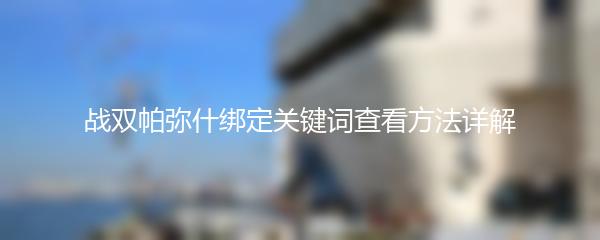 战双帕弥什绑定关键词查看方法详解