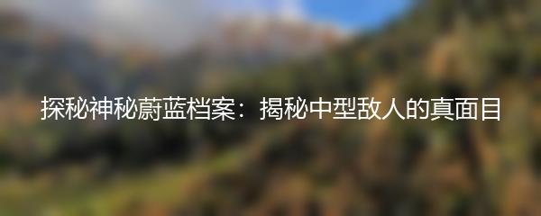 探秘神秘蔚蓝档案：揭秘中型敌人的真面目