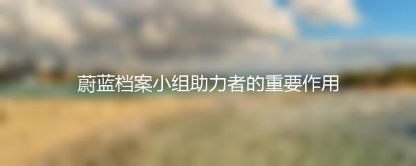 蔚蓝档案小组助力者的重要作用
