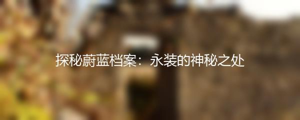 探秘蔚蓝档案：永装的神秘之处