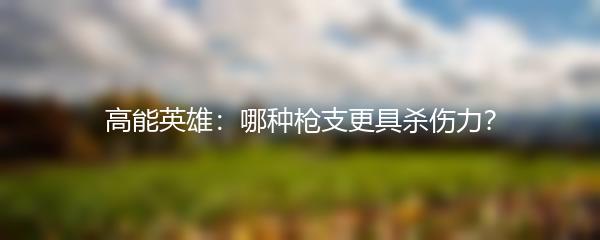 高能英雄：哪种枪支更具杀伤力？