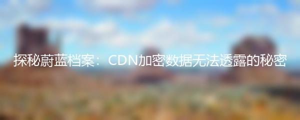探秘蔚蓝档案：CDN加密数据无法透露的秘密