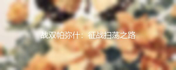 战双帕弥什：征战扫荡之路