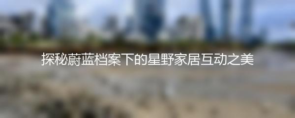 探秘蔚蓝档案下的星野家居互动之美