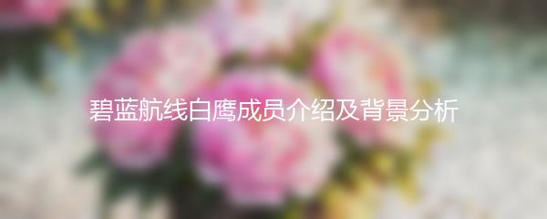 碧蓝航线白鹰成员介绍及背景分析