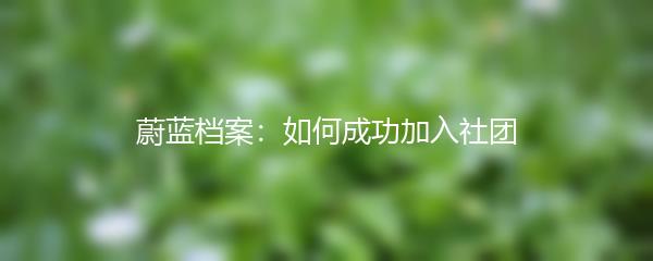 蔚蓝档案：如何成功加入社团