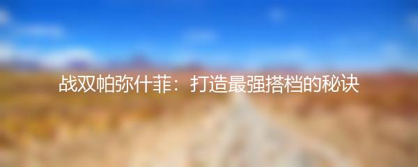 战双帕弥什菲：打造最强搭档的秘诀