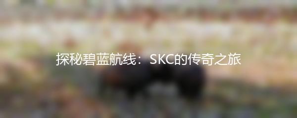 探秘碧蓝航线：SKC的传奇之旅
