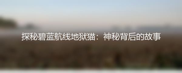 探秘碧蓝航线地狱猫：神秘背后的故事