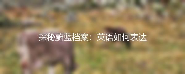 探秘蔚蓝档案：英语如何表达