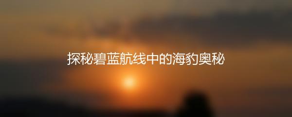 探秘碧蓝航线中的海豹奥秘