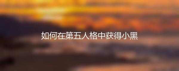 蔚蓝档案：羽川莲见的神秘身世与真相揭露