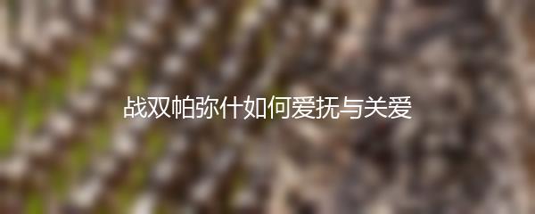战双帕弥什如何爱抚与关爱