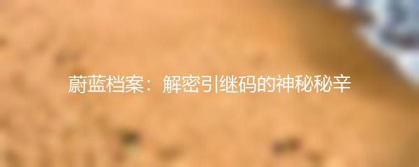 蔚蓝档案：解密引继码的神秘秘辛