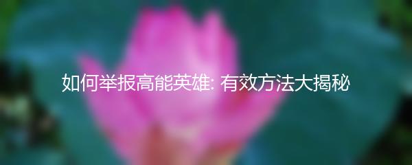 如何举报高能英雄: 有效方法大揭秘