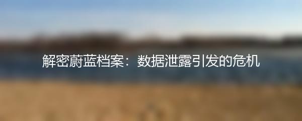 解密蔚蓝档案：数据泄露引发的危机