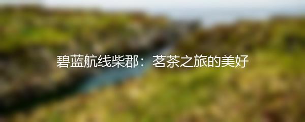碧蓝航线柴郡：茗茶之旅的美好