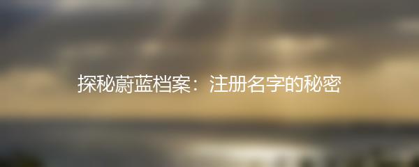 探秘蔚蓝档案：注册名字的秘密