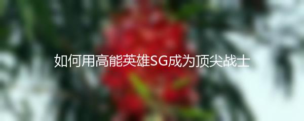 如何用高能英雄SG成为顶尖战士