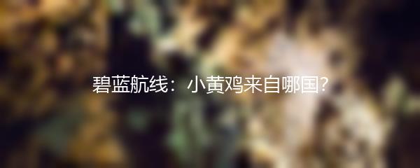 碧蓝航线：小黄鸡来自哪国？