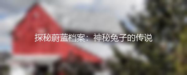 探秘蔚蓝档案：神秘兔子的传说