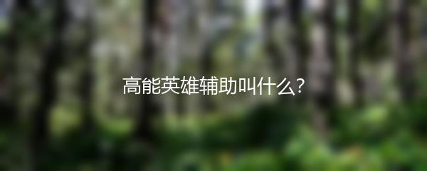 高能英雄辅助叫什么？