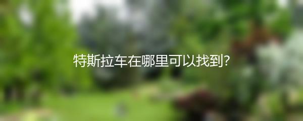 特斯拉车在哪里可以找到？