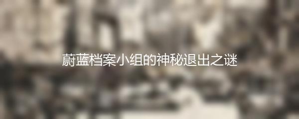 蔚蓝档案小组的神秘退出之谜