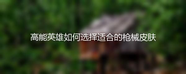 高能英雄如何选择适合的枪械皮肤