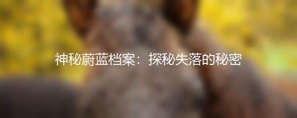 神秘蔚蓝档案：探秘失落的秘密