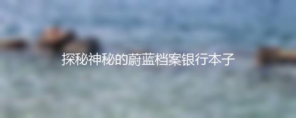 探秘神秘的蔚蓝档案银行本子
