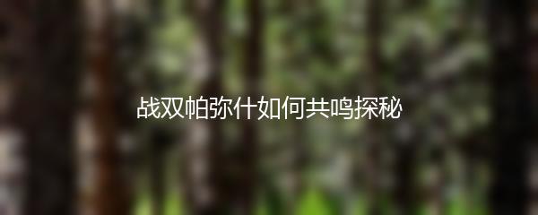 战双帕弥什如何共鸣探秘