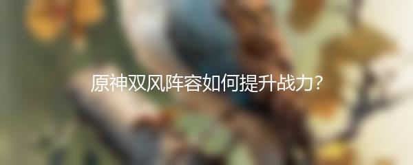 原神双风阵容如何提升战力？